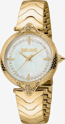 Just Cavalli Time Analog Watch in Gold: front