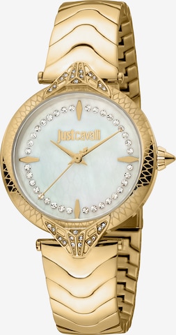 Just Cavalli Time Analog Watch in Gold: front