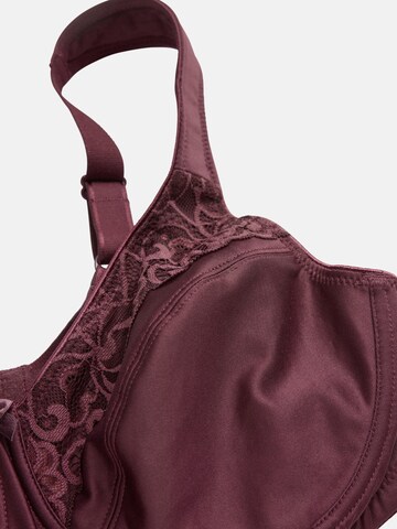 Cellbes of Sweden Minimizer BH in Rot