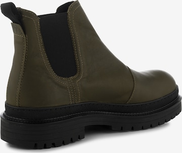 Chelsea Boots 'ARVID ' Shoe The Bear en vert