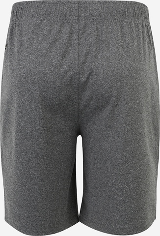 4F Workout Pants in Grey