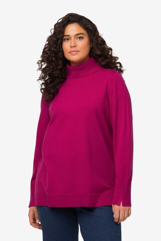 Ulla Popken Pullover in Pink: predná strana