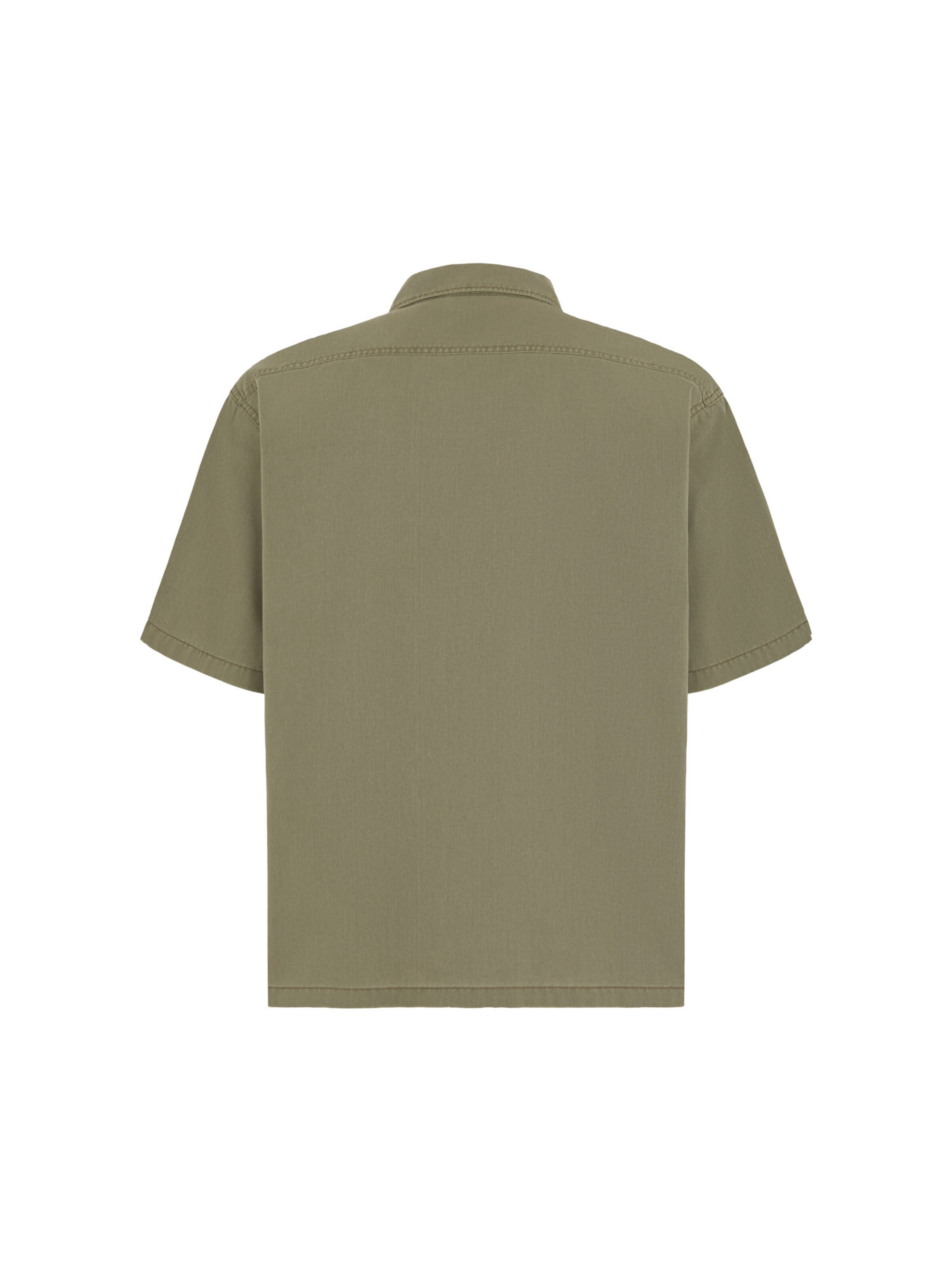DICKIES Comfort fit Button Up Shirt 'UNIONVILLE' in Green