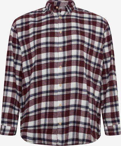 Cămașă 'LAIN' Jack & Jones Plus pe bleumarin / roșu vin / alb, Vizualizare produs