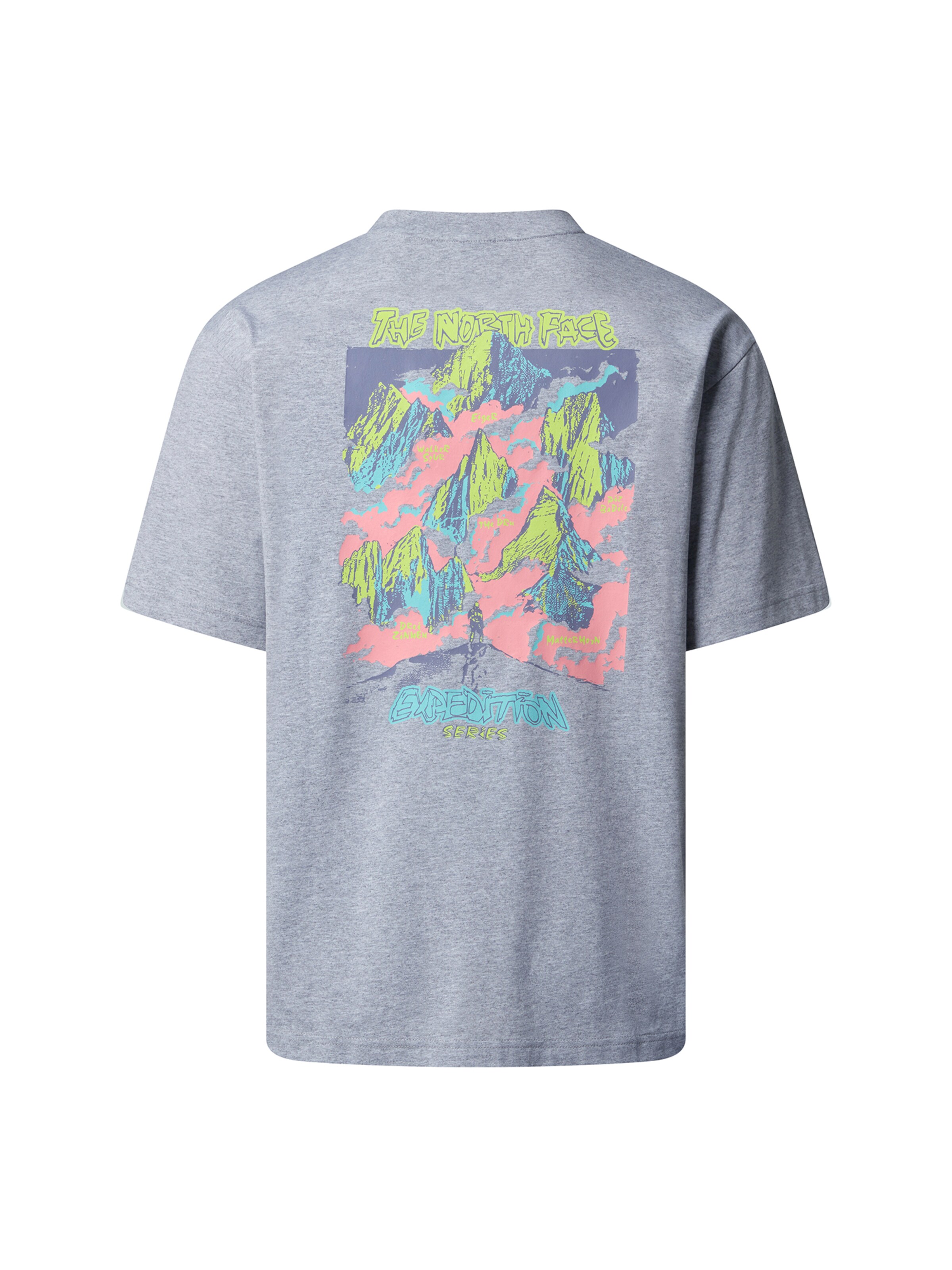 THE NORTH FACE Bluser & t-shirts 'U Expedition Celebration' i grå