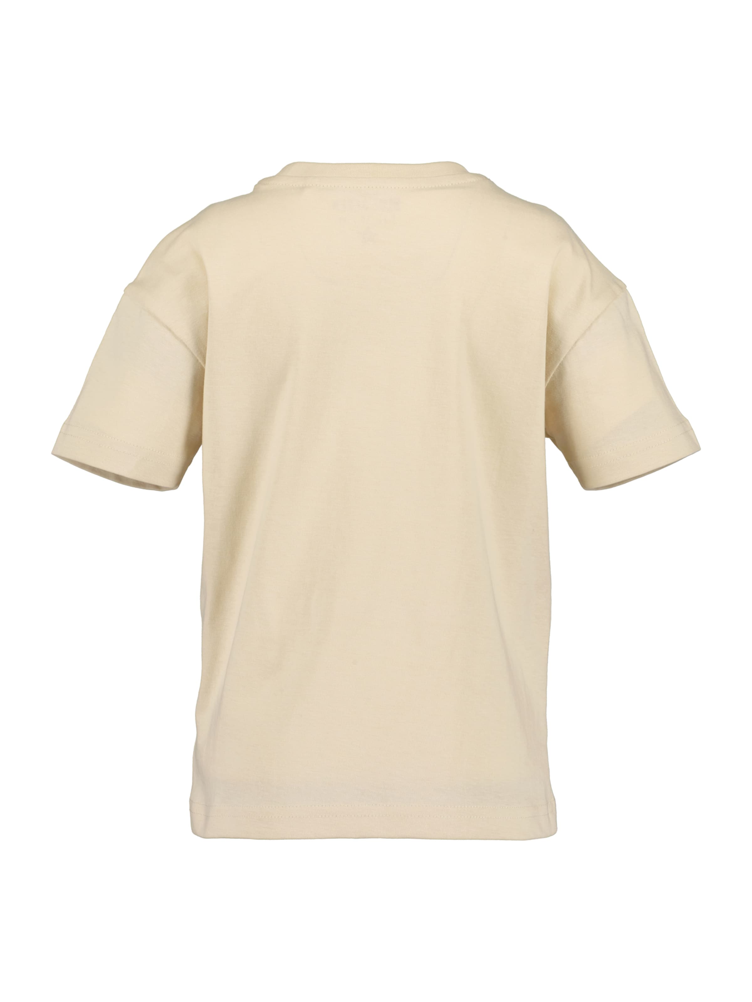 BLUE SEVEN Koszulka w kolorze szary