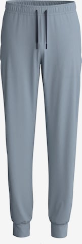 CALIDA Pyjamahose 'DEEPSLEEPWEAR Warming' in Grau: Vorderseite