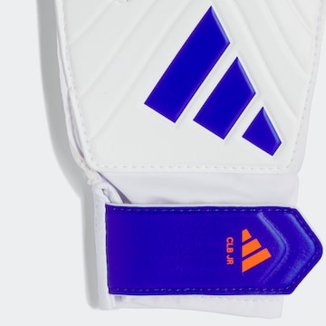 ADIDAS PERFORMANCE Athletic Gloves in White