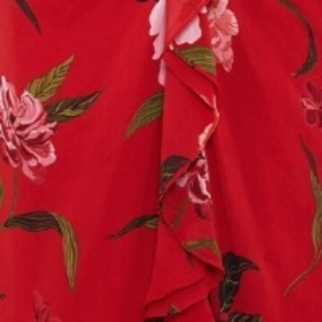 Phase Eight Kleid in Rot: Vorderseite
