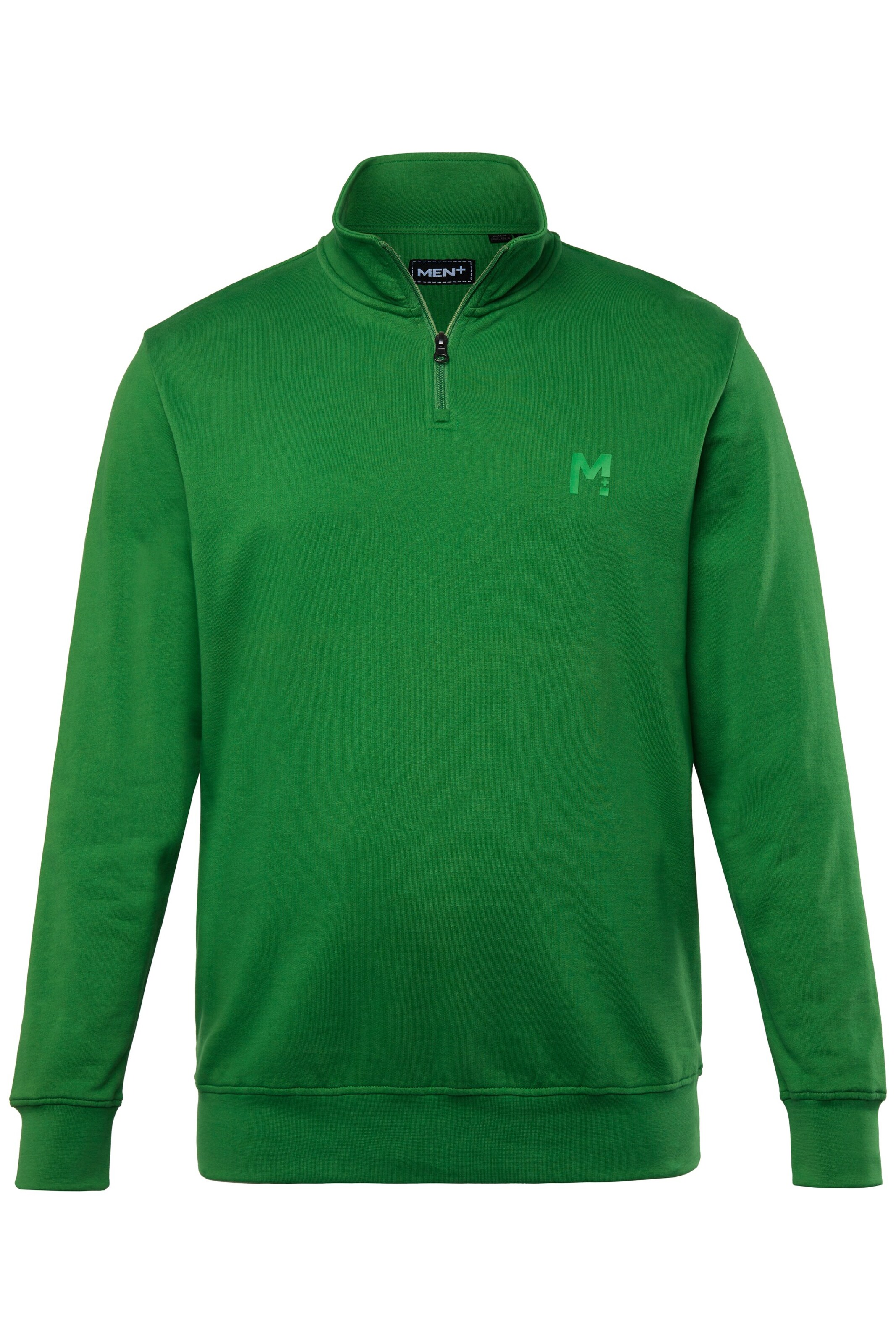 Men Plus Sweatshirt in Groen: voorkant