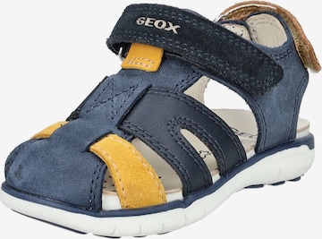 Calzatura aperta di GEOX in blu: frontale