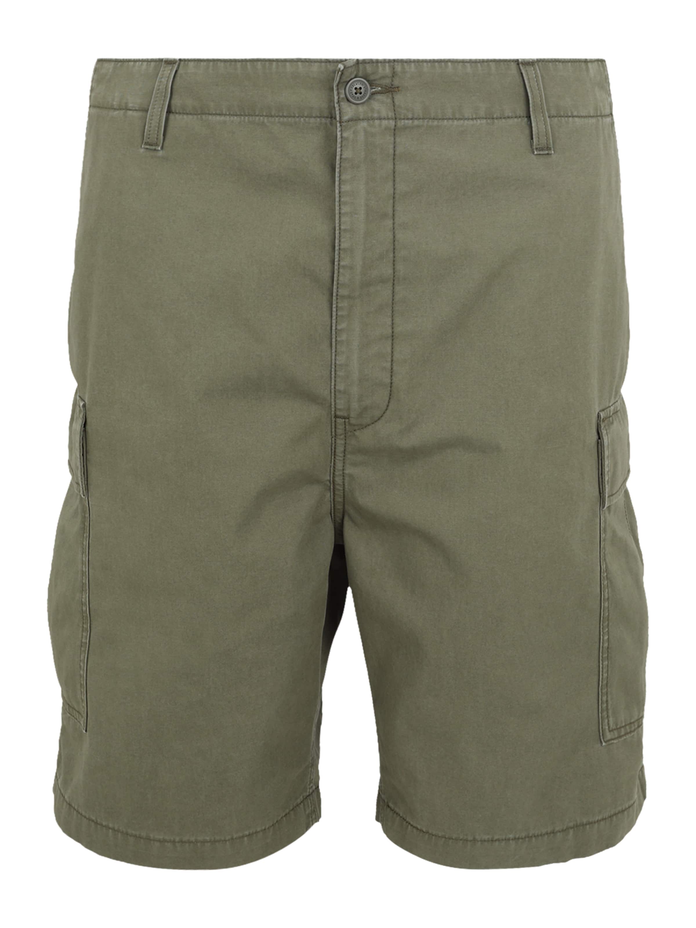 Levi's® Big & Tall - Regular Calças cargo 'Carrier' em verde: frente