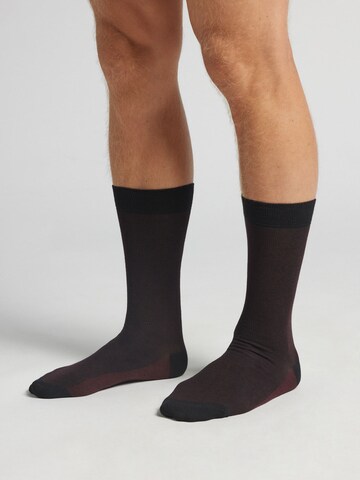 INTIMISSIMI Socks in Red