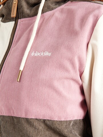 Iriedaily Jacke 'Patchy' in Grau