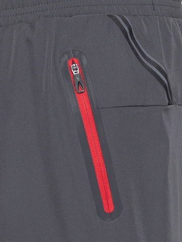 Spyder Regular Sporthose in Grau