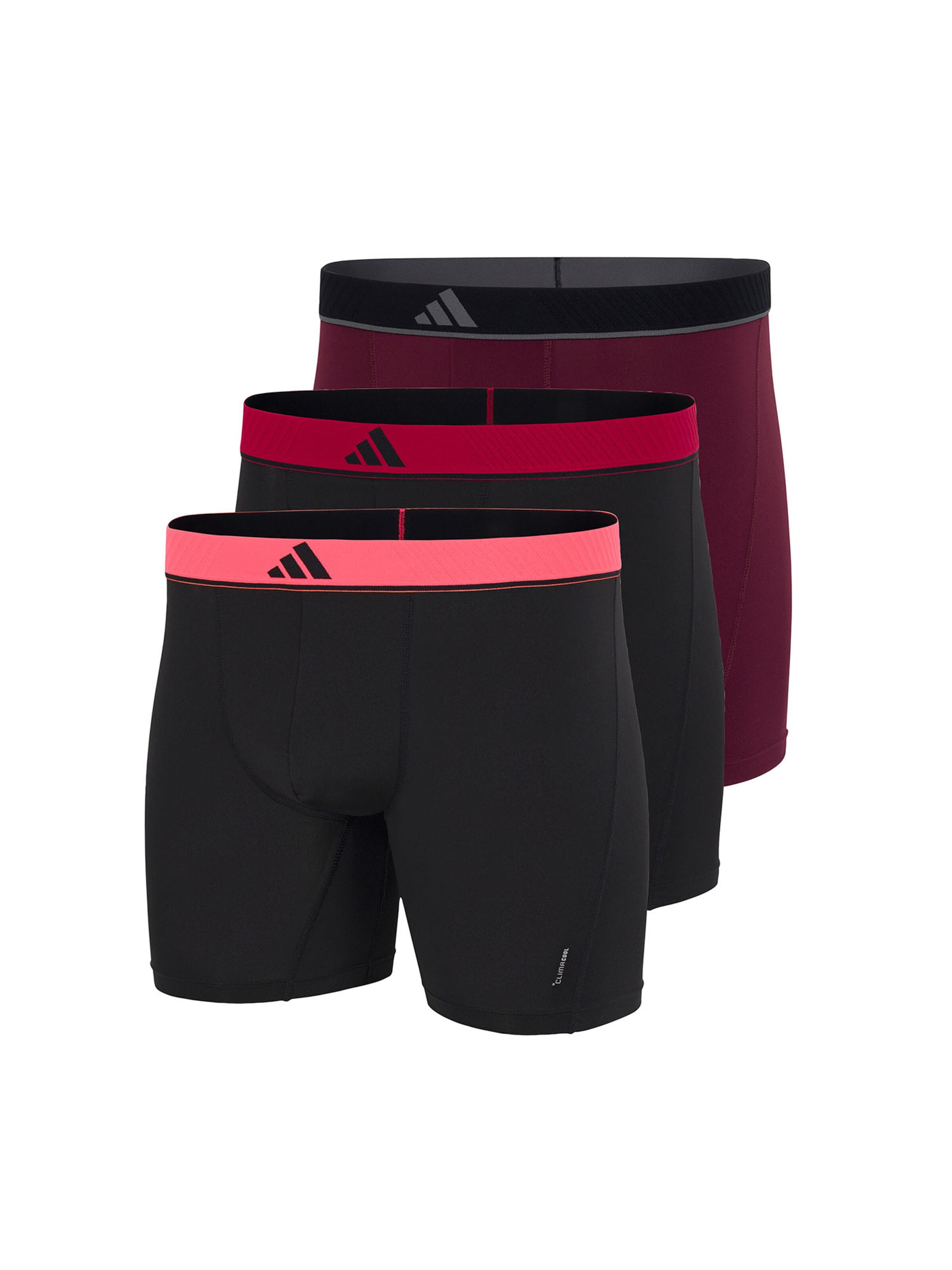ADIDAS SPORTSWEAR Retro Pants ' Active Micro Flex ' in Rot: Vorderseite