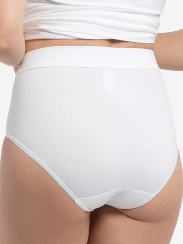 SPEIDEL Slip 'bio.cotton Plus' in Weiß