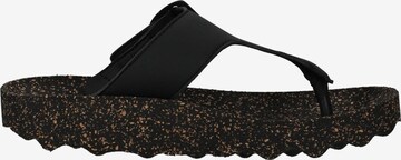 Asportuguesas T-Bar Sandals in Black