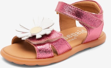 BISGAARD Sandały 'Oya' w kolorze różowy: przód