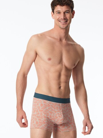 Boxers ' 95/5 Organic Cotton ' SCHIESSER en bleu : devant