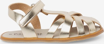 Pisamonas Sandale in Gold: Vorderseite