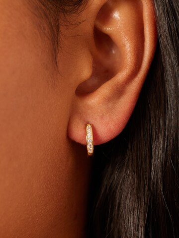 Lucardi Earrings in Gold