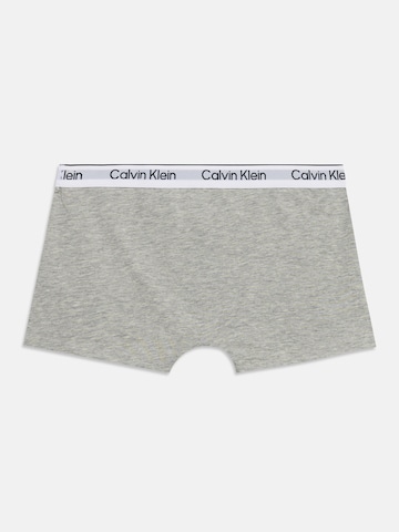 Calvin Klein Underwear Kalsong i brun