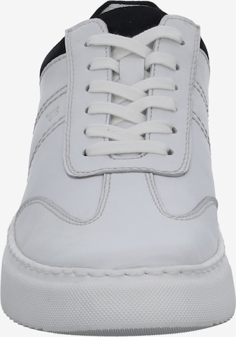 JOSEF SEIBEL Sneakers 'Forrest 01' in White