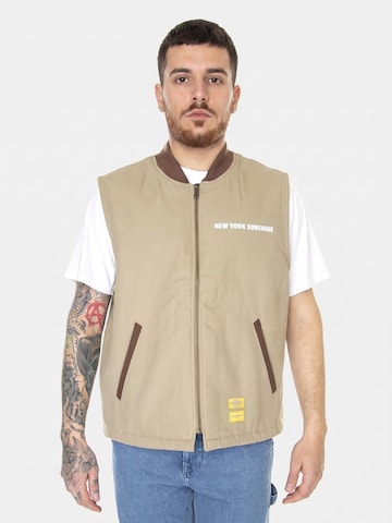 Gilet 'NYS Sherpa' di DICKIES in beige: frontale