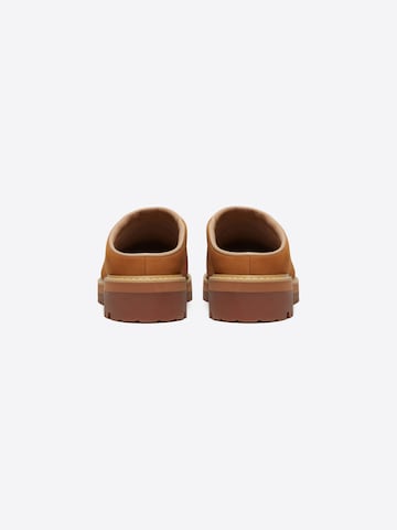 TIMBERLAND - Socas em castanho