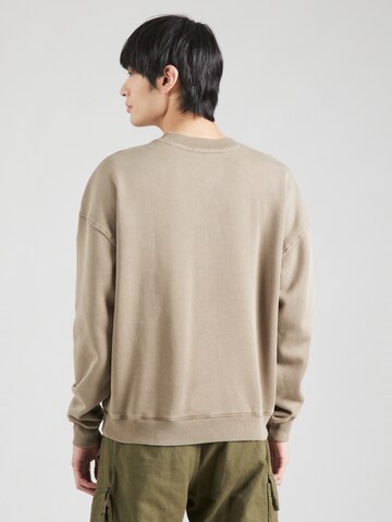 HOLLISTER Majica | rjava barva