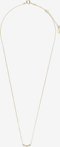 ANIA HAIE Necklace in Gold