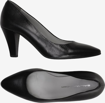 SALAMANDER Pumps 36 in Schwarz: Vorderseite