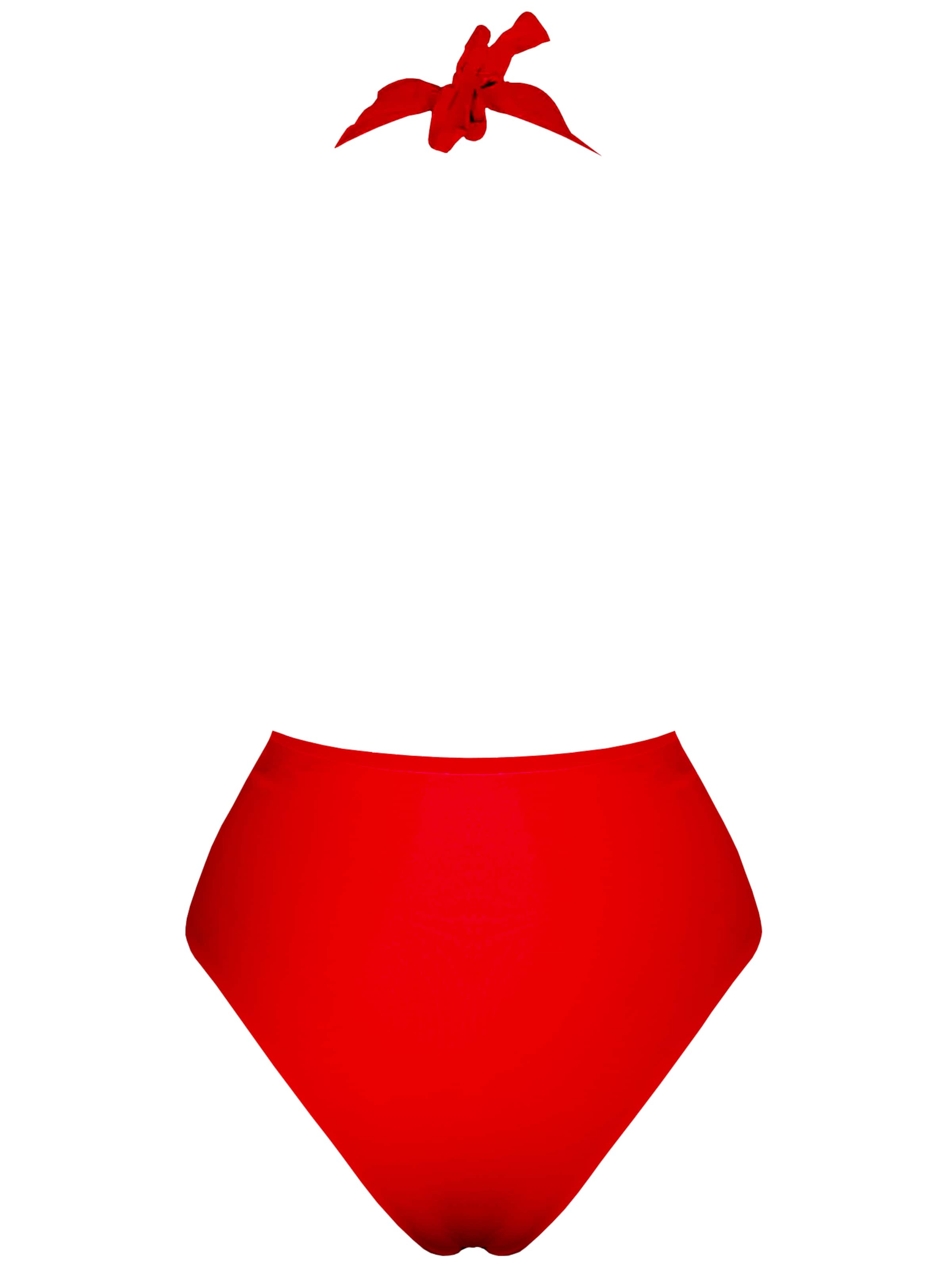 SEA ME SWIM High neck Badeanzug 'ST. TROPEZ'‌‌‌‌‌‌‌ in Rot