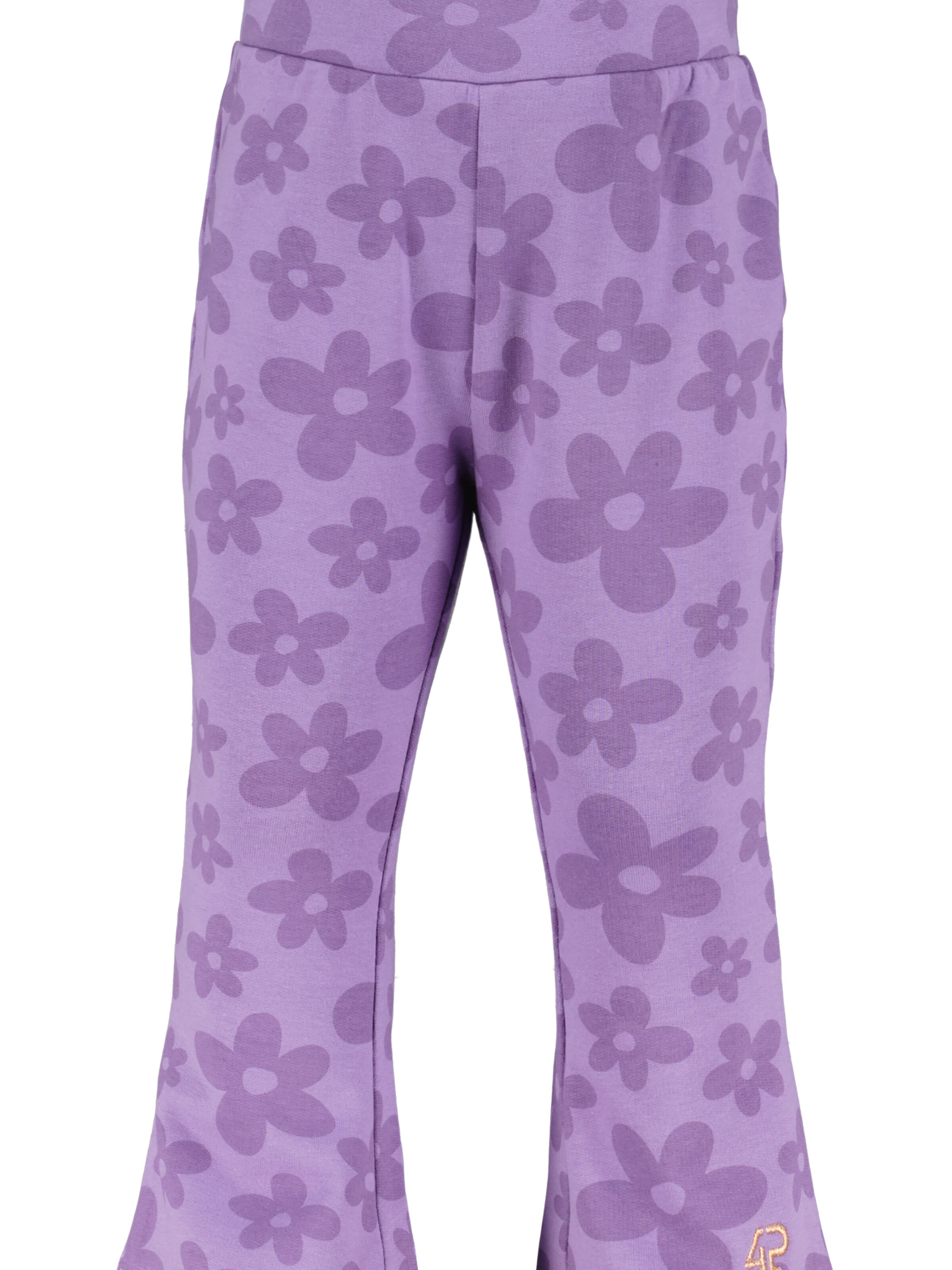 4PRESIDENT Flared Pants 'Klara' in Purple: front
