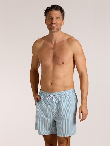 wavebreaker Board Shorts in Green: front