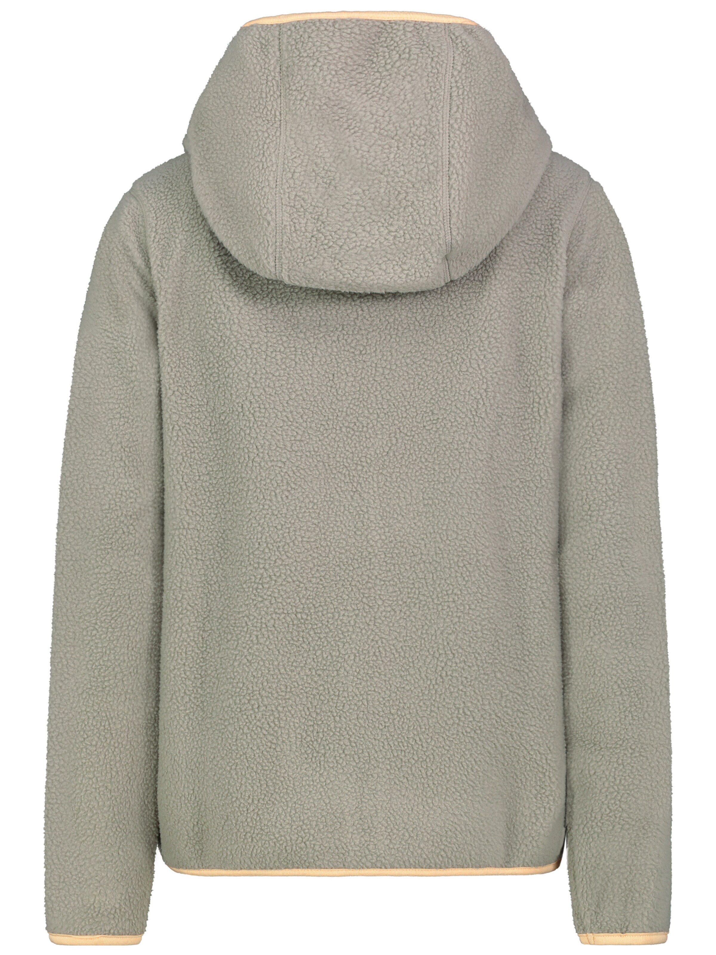 Sublevel Fleece jacket in Green