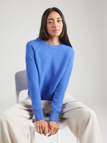 Pullover di FRENCH CONNECTION in blu: frontale