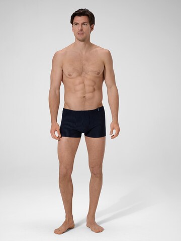 Boxers ' Urban Traveller ' Ammann en bleu : devant