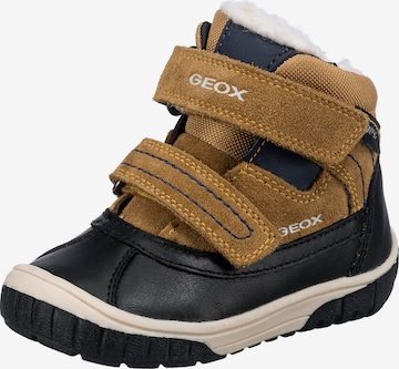 GEOX Stiefel 'Omar' in Braun: front