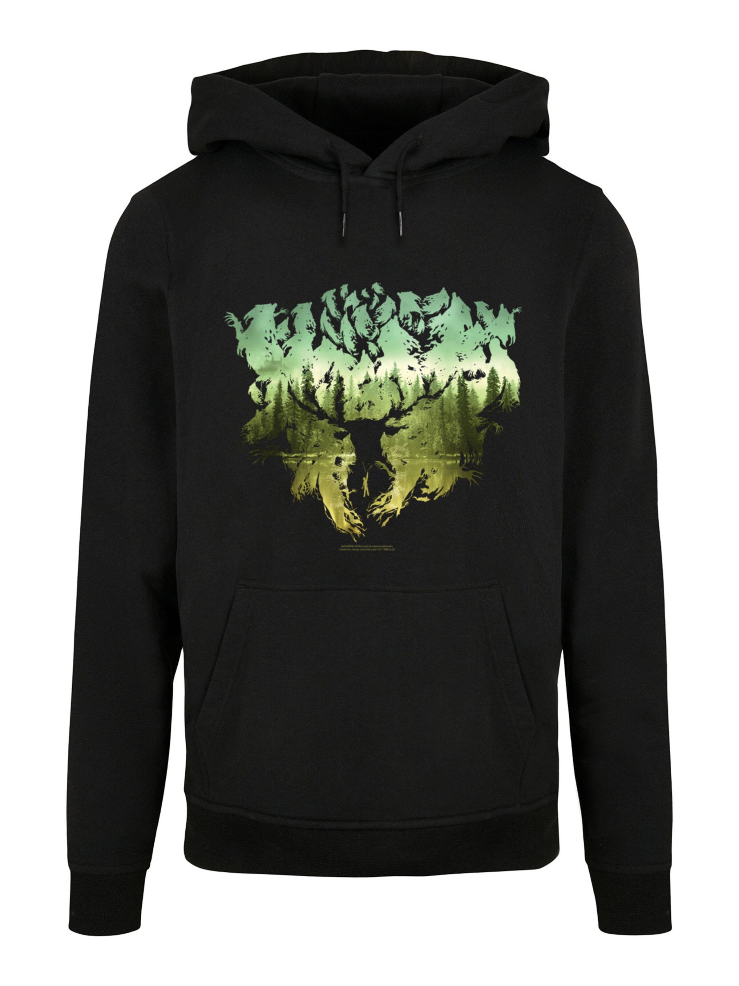 Sweat-shirt 'Harry Potter Magical Forest' F4NT4STIC en noir : devant