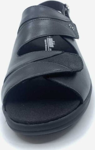 SOLIDUS Sandals in Black