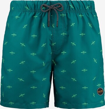 Shorts de bain Shiwi en bleu : devant