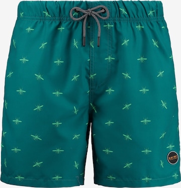 Shorts de bain Shiwi en bleu : devant