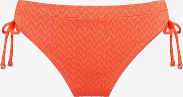 LingaDore - Cueca biquíni em laranja: frente