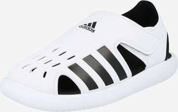 ADIDAS PERFORMANCE - Sapato de praia/banho em branco: frente