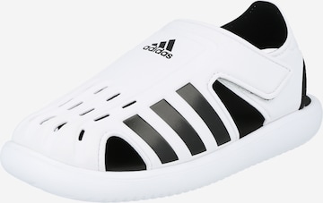 ADIDAS PERFORMANCE Buty na plażę/do kąpieli w kolorze biały: przód