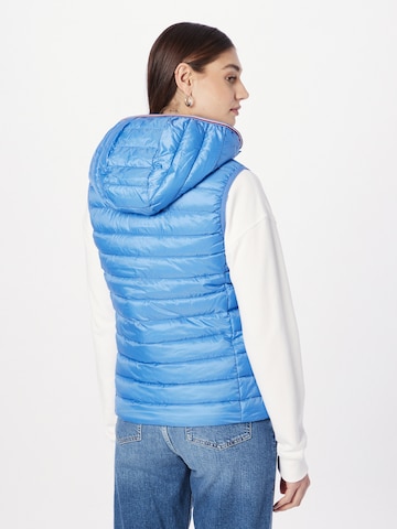 Gilet di TOMMY HILFIGER in blu