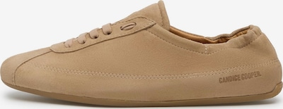 Candice Cooper Schnürschuh 'DANDY' in 43 in dunkelbeige, Produktansicht
