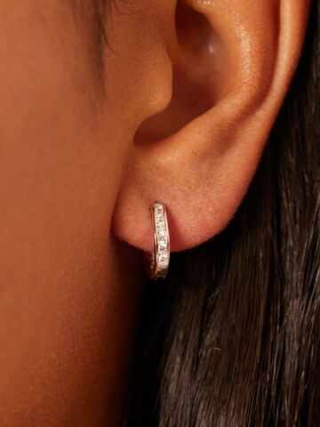 Lucardi Earrings in Silver: front